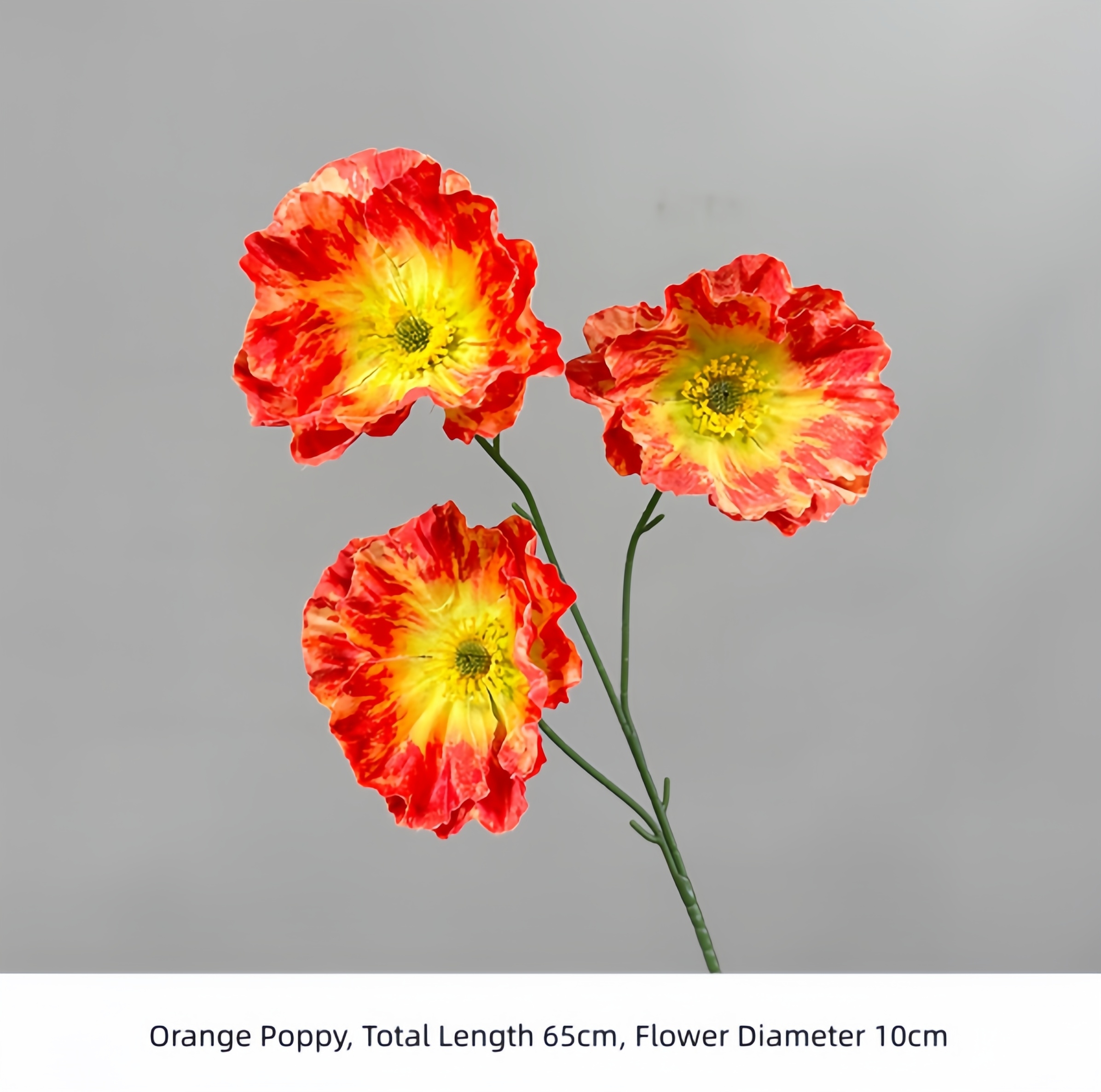 Coquelicot orange