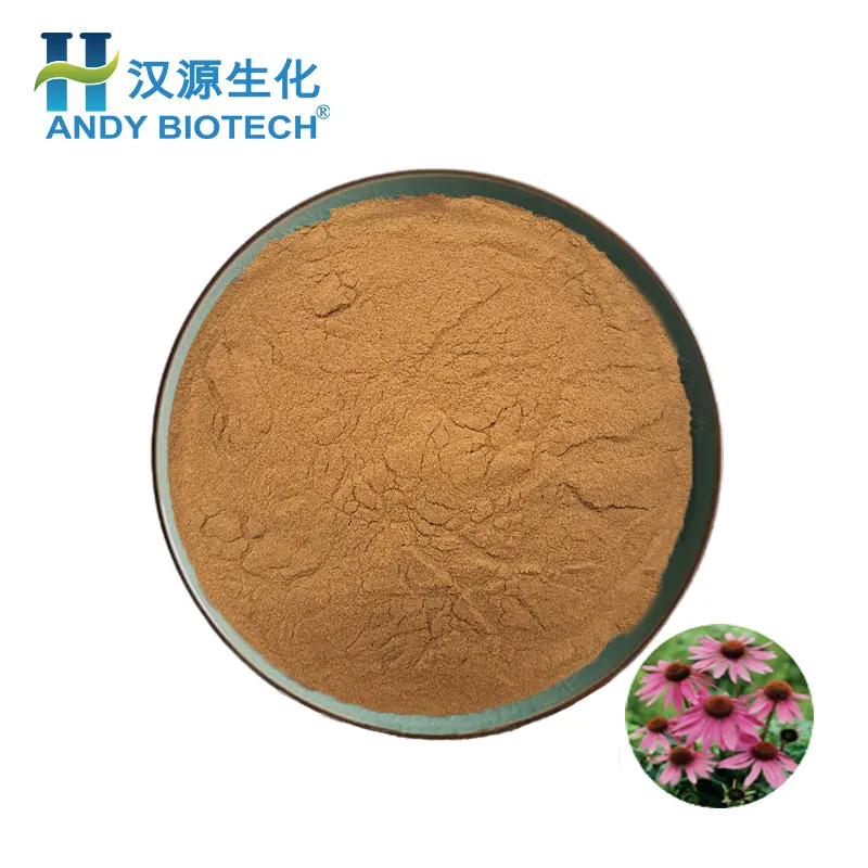 Best selling Echinacea Purpurea Extract Echinacea Root Extract