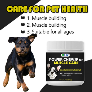 مكملات غذائية لزيادة وزن الكلاب بعلامة تجارية خاصة، تدعم صحة الحيوانات الأليفة، أقراص طرية مع مزيج من الفطر - Product Image 2