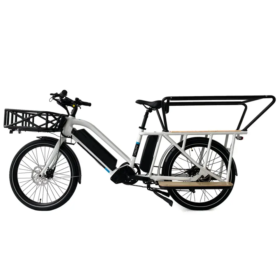 Doppia batteria a lungo raggio e bici elettrica cargo bike per uso familiare bicicletta elettrica