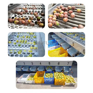 Fruit Grading <strong>Machine</strong> Vegetable <strong>Sorting</strong> <strong>Machine</strong> Fruit Apple Orange Potato Tomato <strong>Sorting</strong> <strong>Machine</strong> - Product Image 6