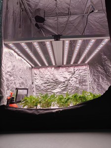 AGLEX Kommerzielle 4x4 5x5 4x6ft 800W 1000W 1200W Samsung Lm301h EVO Lm281B UV IR Lampe Vollspektrum LED-Wachstumslichter - Product Image 6