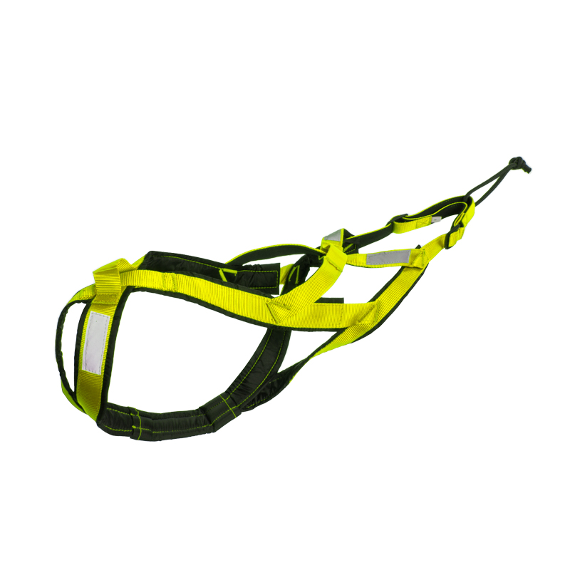 Vert fluorescent