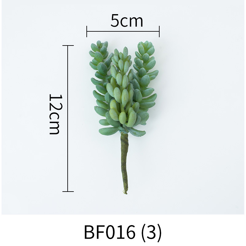 BF016-(3)