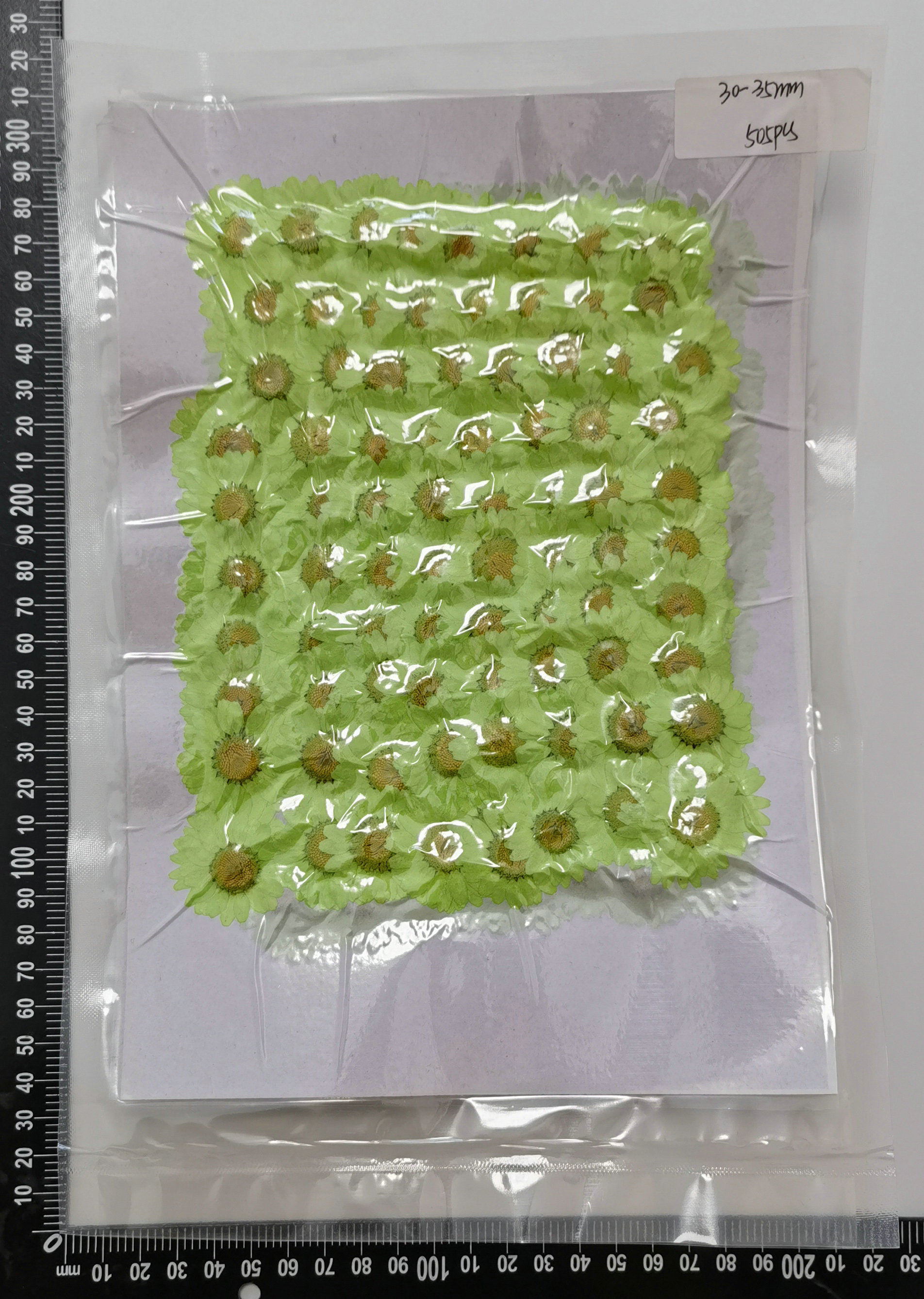 Teint en vert clair 12 pièces/sac