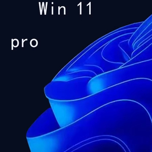Win 11 Pro 64 Bit Set completo con USB OEM professionale scatola di licenza Instructions-Win11 versione completa Fpp licenza Stock Software - Product Image 1