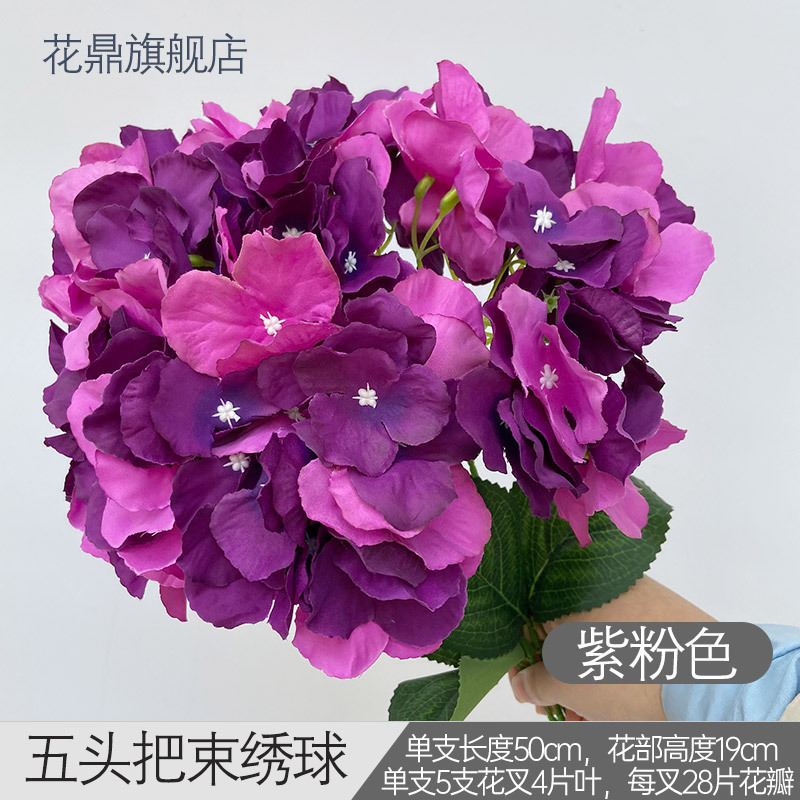 Hortensia à cinq têtes H violet-rose