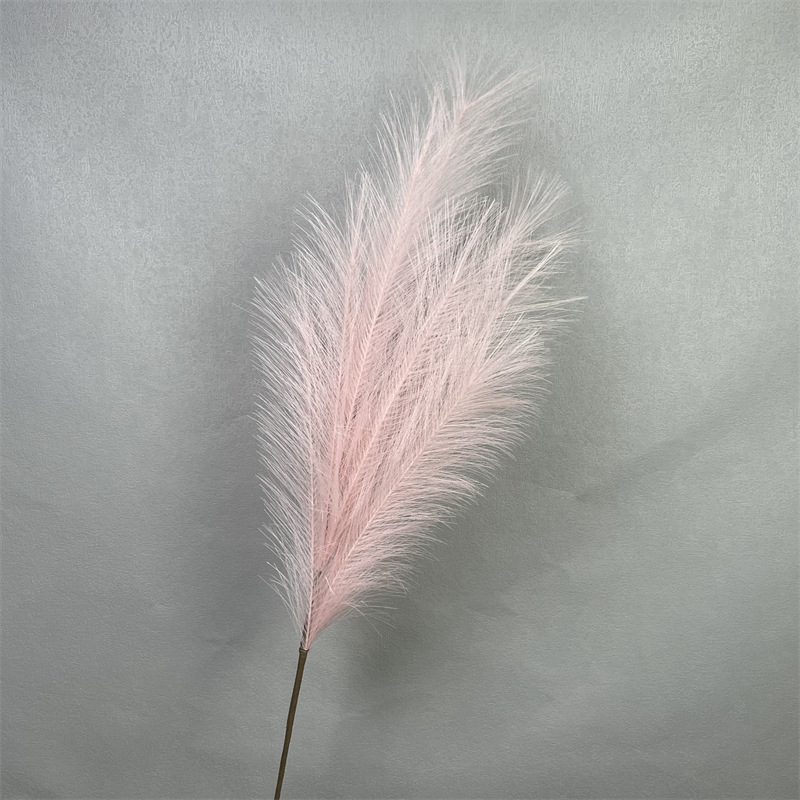 Rose bébé