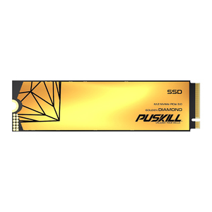 PUSKILL新设计黑色金色白色M.2 NVME固态硬盘128GB价格和性能良好的固态硬盘M.2 NVME PCIE固态硬盘 - Product Image 2