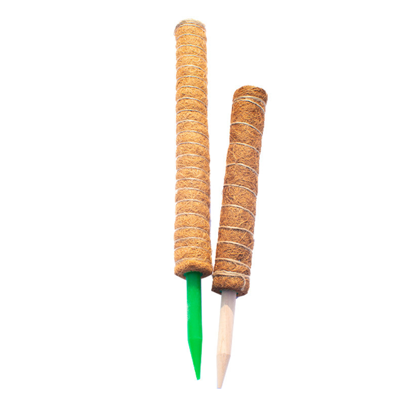 Piquet de terre en bois de 30 cm