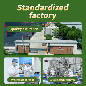 Nuovi prodotti pasta di peperone verde piccante Base di pesce piccante pepe in Rattan salsa di cottura per uso commerciale - Product Image 6