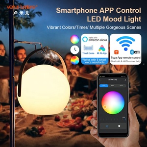 Rohs Listed Usb <strong>Type</strong> C Rechargeable Home Decor Light Smart App Control Music Sync Stepless Dimmable <strong>Led</strong> Table Lamp - Product Image 6
