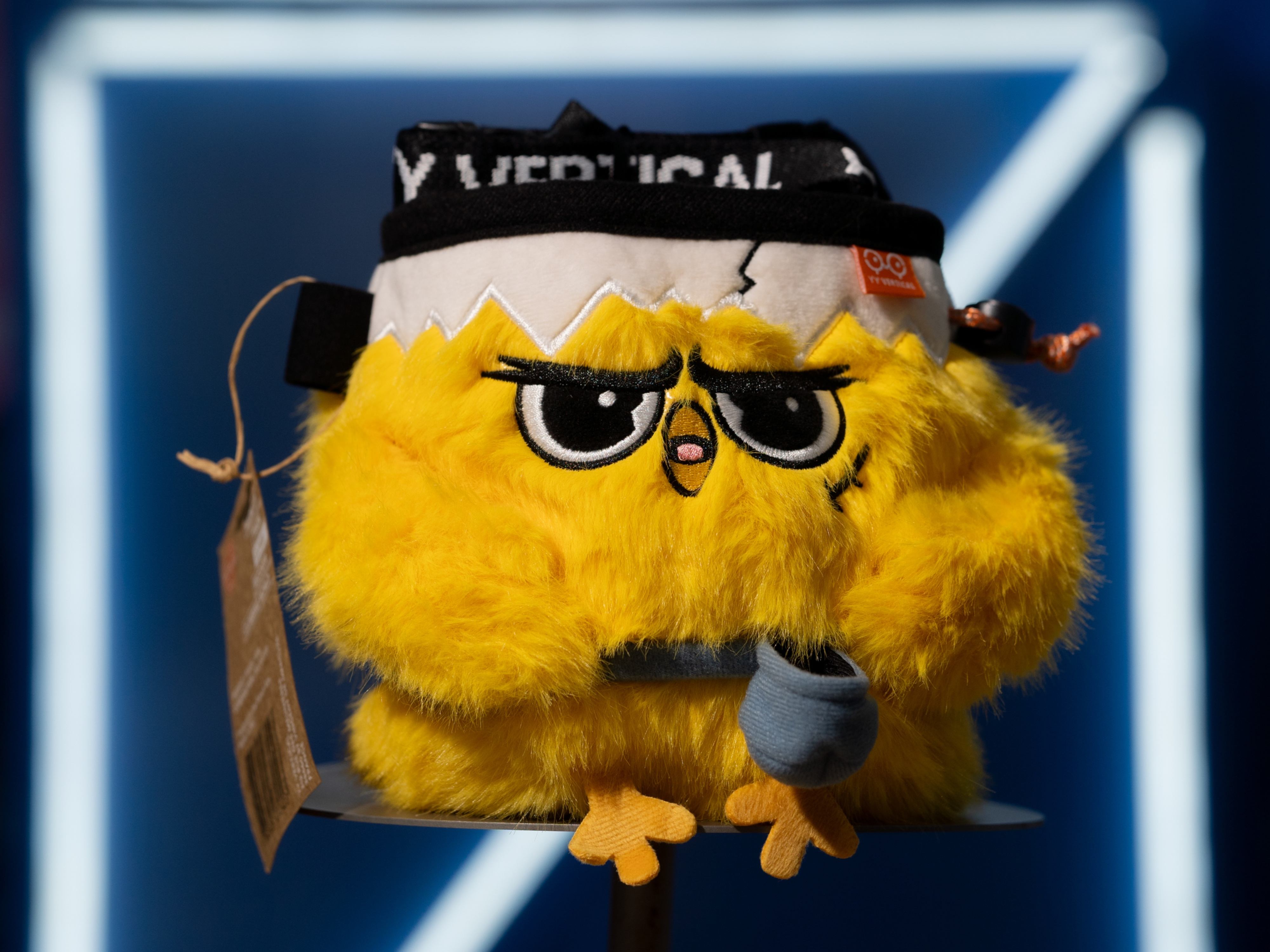 ถุงผงไก่