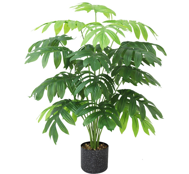 Plantes vertes 2