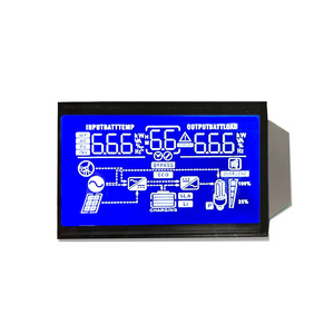 Kunden spezifisches monochromes Segment Lcd Hersteller verkauf Kunden spezifischer Segment code LCD-Anzeige feld und Modul