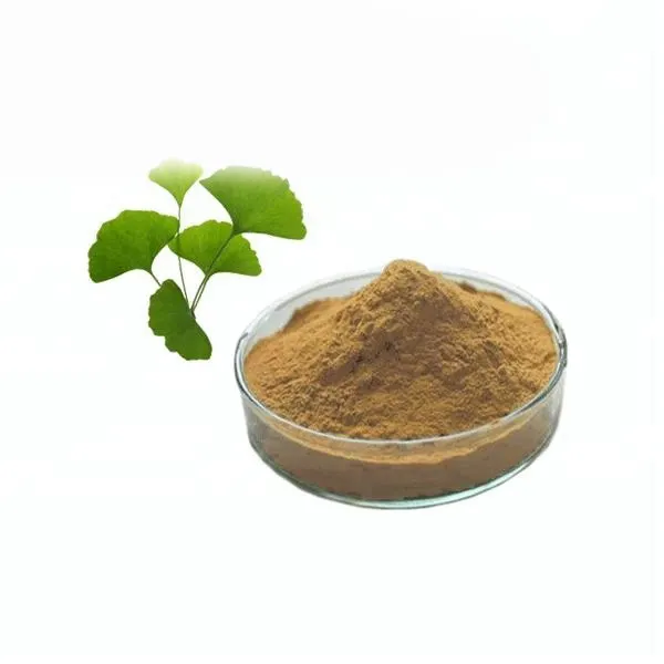 Ekstrak Tanaman Herbal, esensi ekstrak daun Ginkgo Biloba, organik alami