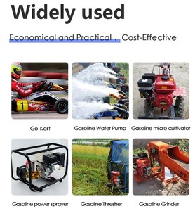 เครื่องไถพรวน210CC 7.5HP 4จังหวะเครื่องไถพรวน170F-6เครื่องยนต์เบนซินเพื่อการเกษตร - Product Image 3
