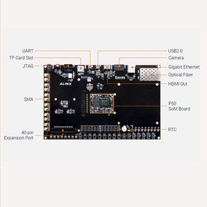 Scheda di sviluppo AXP50 FPGA e Kit inclusi loghi Pango PGL50H - Product Image 2