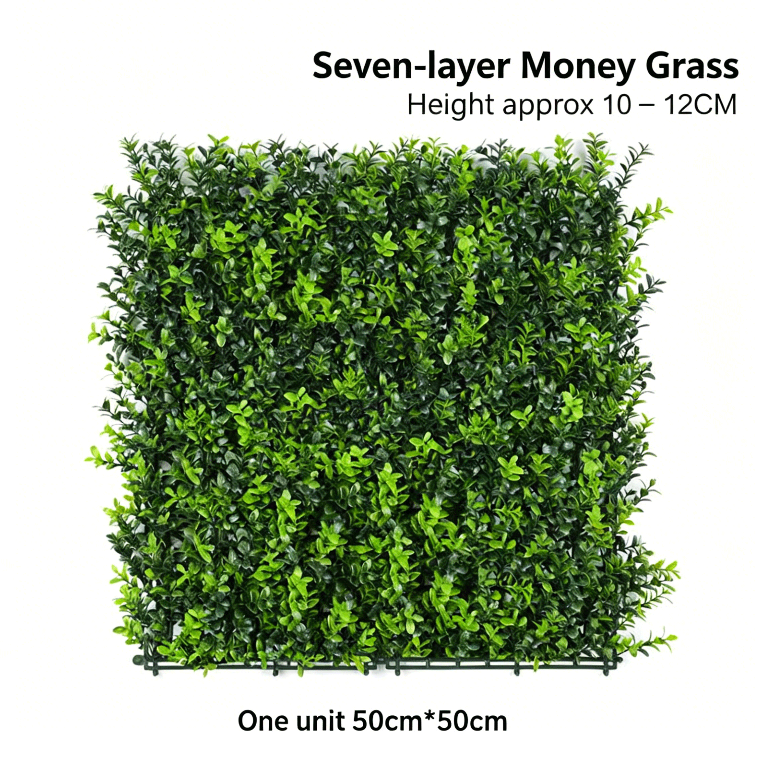 Herbe à argent à sept couches