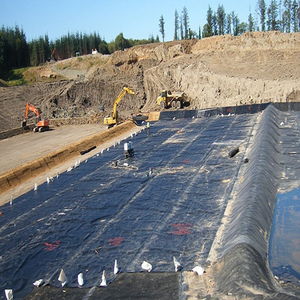 Yüksek kaliteli HDPE siyah rulo 0.75mm 1.0mm 1.5mm geomembran - Product Image 4