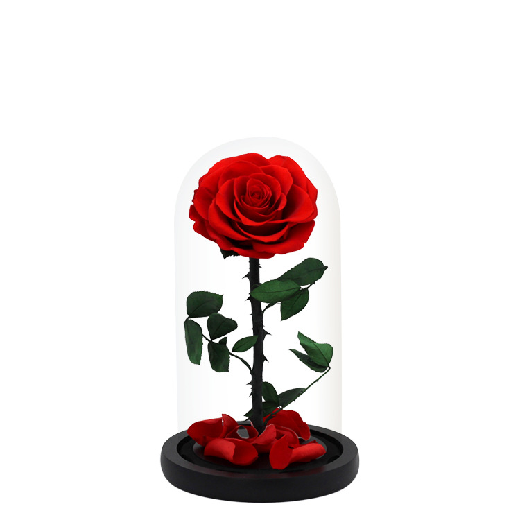 Coup de foudre 13*27cm
