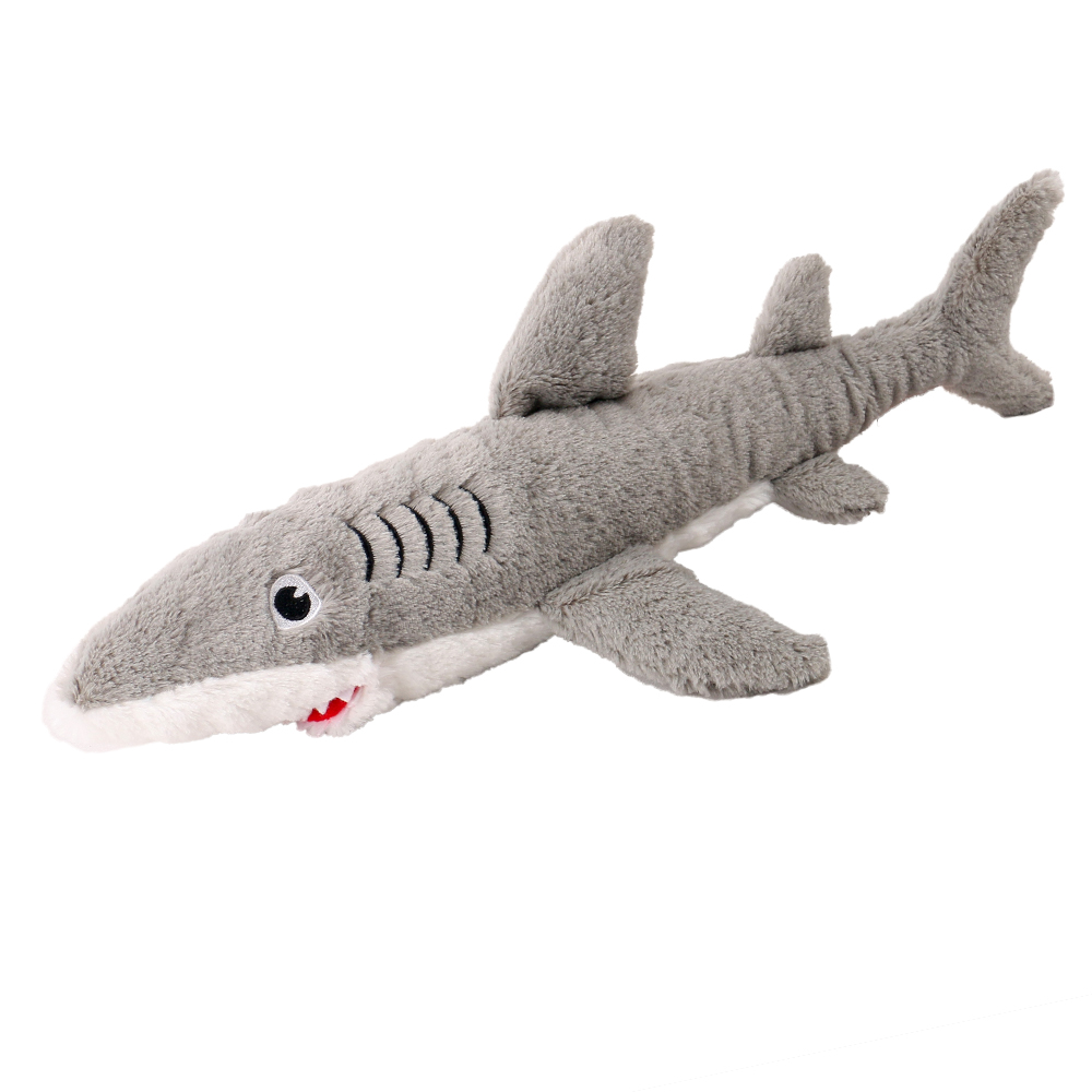 Requin