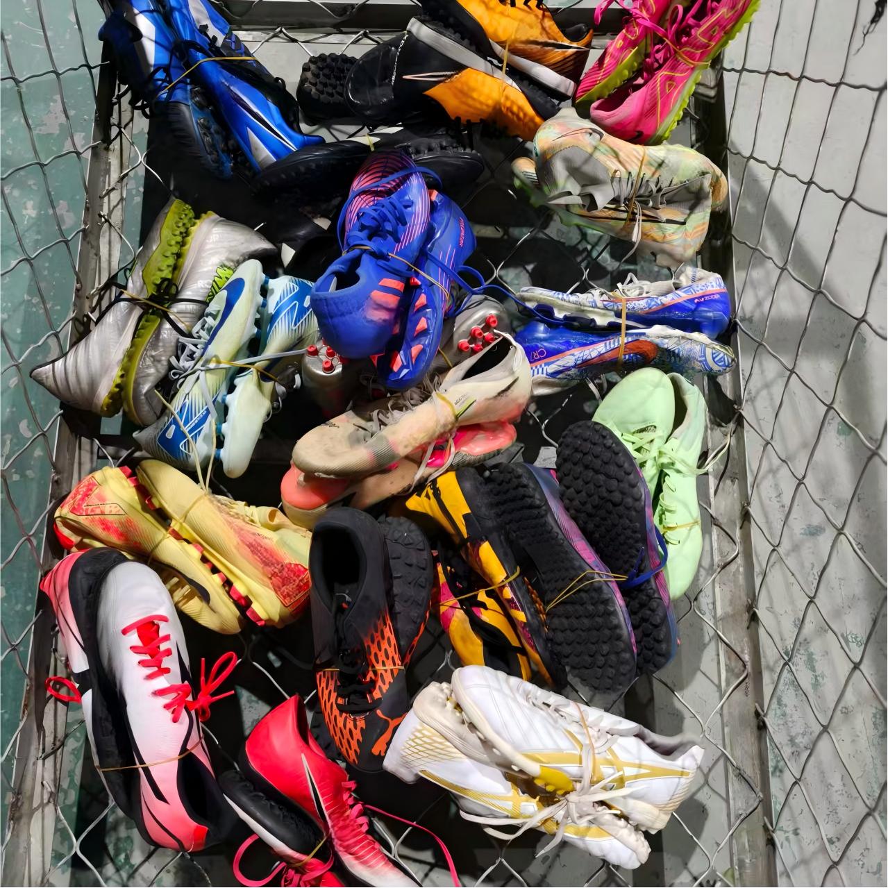 Multicolor
