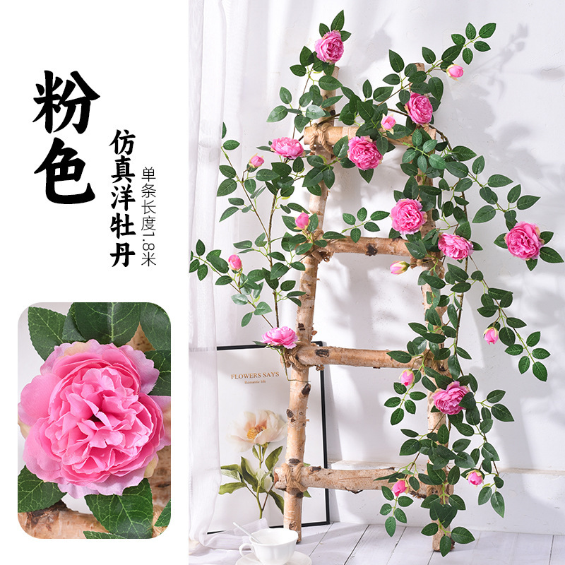 Rose, 1,8 mètres de long
