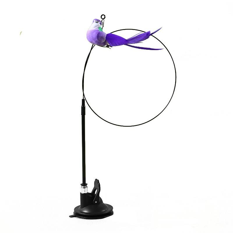 Little bird-Color random