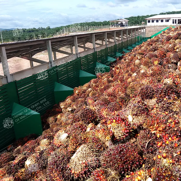 Raffineria di olio di palma grezzo a doppia vite/linea di estrazione macchina per la lavorazione automatica della pressa per olio di palma a freddo 10tph