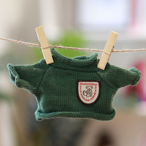 Sıcak oyuncak ayı giysileri pamuk oyuncak bebek giysileri yüklü yün hoodie kazak oyuncak ayı 30 cm bebek peluş oyuncak oyuncak bebek giysileri