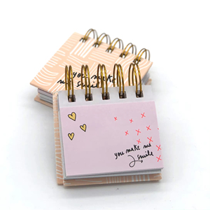 Bloc de notas adhesivas de bolsillo de tamaño pequeño personalizado, Bloc de notas de estudiante de alta calidad con anillo en espiral, Bloc de notas encuadernado con pegatina - Product Image 4