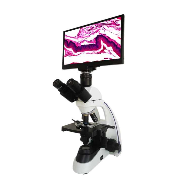 Boshida BD-SW1001T 40X-1600X microscopio biologico composto trinoculare digitale con fotocamera digitale con illuminazione a LED 3W