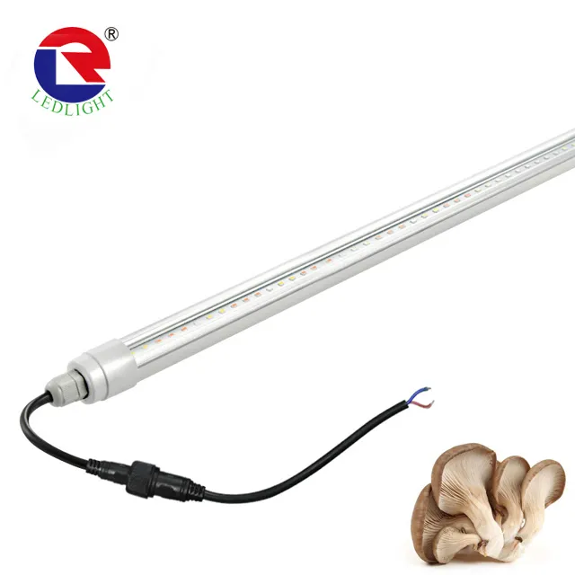 Lámpara LED de relleno para cultivo de cáñamo, luz para invernadero, túnel, seta, casa verde, IP65, 2 pies, 3 pies, 4 pies