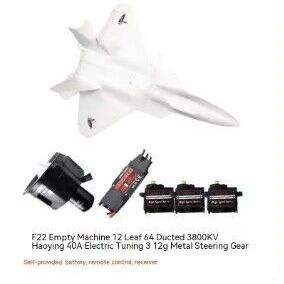 F22 64 ducted PNP (K3900 40A good K servo)