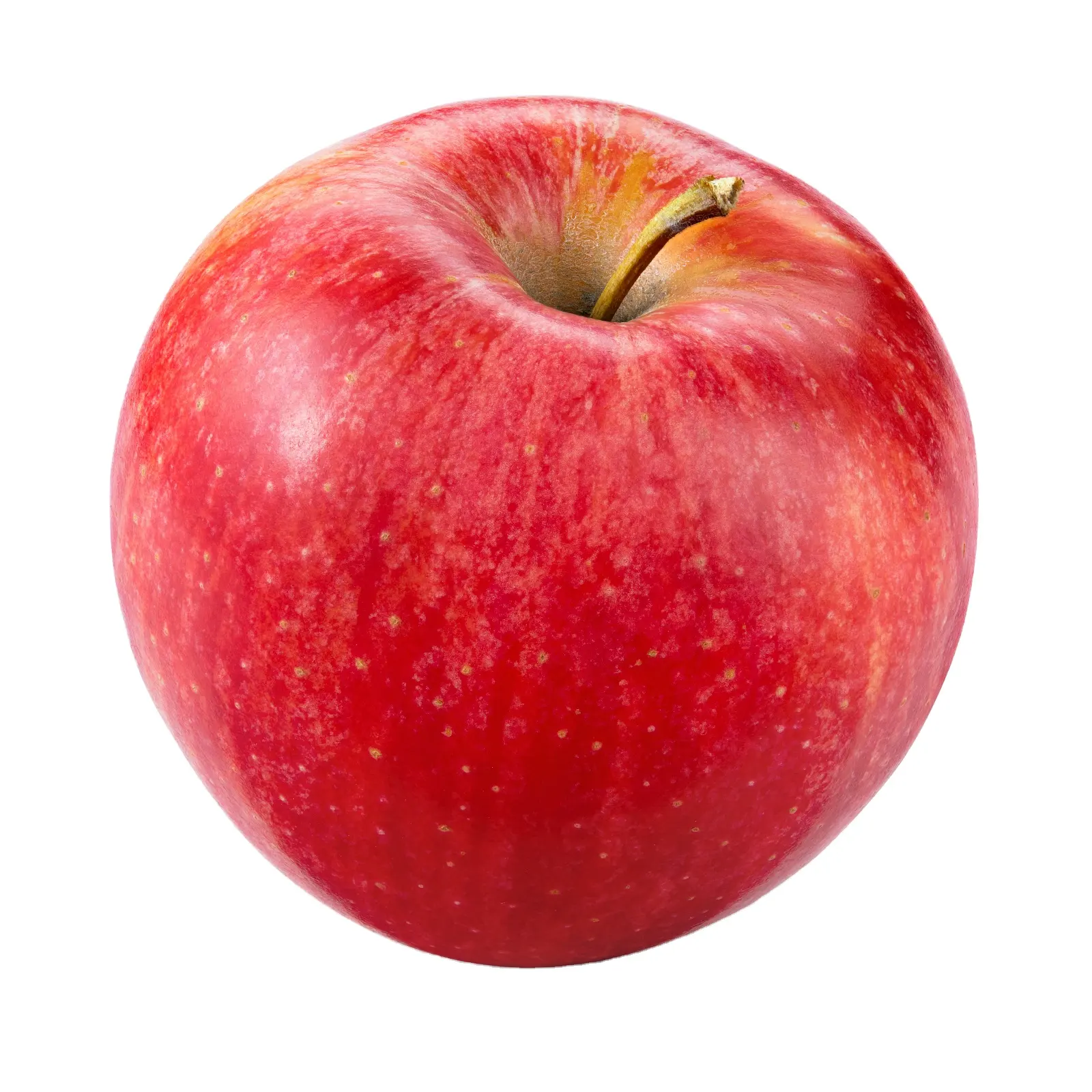 Tanaman baru apel merah segar Harga Murah apel segar fuji grosir buah segar apple