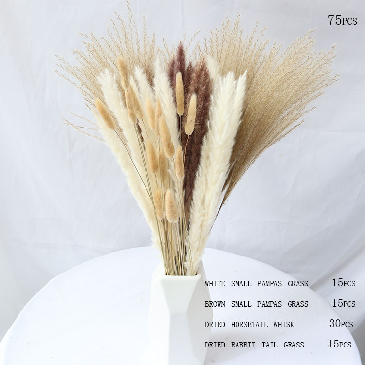 Bouquet d'herbe de pampa 13