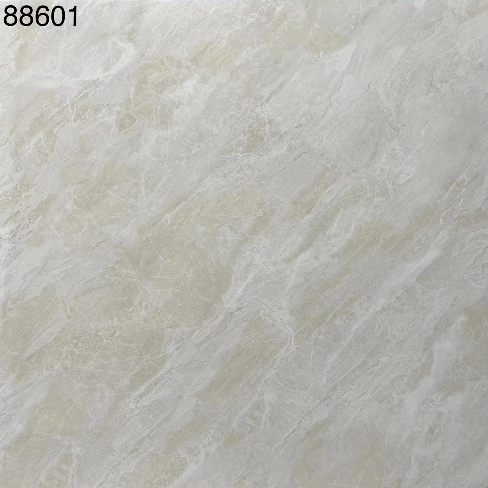 88601 page