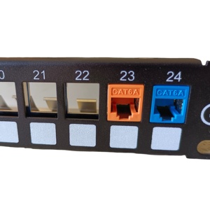FTP SFTP RJ45 6类梯形插孔6a类无工具面板面板 - Product Image 6