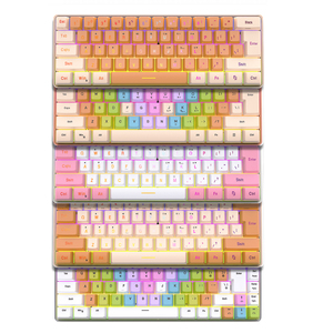 SAMA OEM工厂批发RGB 60% 游戏机械触摸感觉键盘61键彩虹游戏键盘 - Product Image 1