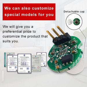 Stellen Sie das pyro elektrische menschliche Detektor modul Mini-Infrarot-Pir-Bewegungs sensor ein