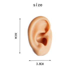 Toptan özel silikon modeli dövme delinme uygulama simülasyon insan vücut parçası kulak Piercing modeli silikon ekran - Product Image 2