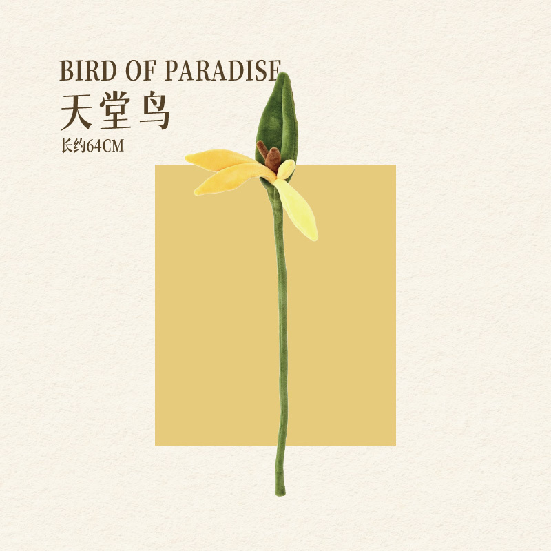 PÁJARO DEL PARADISO