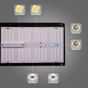 Bavagreen Newest Pro Plus Samsung Lm301b lm301h 1080wLEDグローライトHPS交換用フルスペクトルと追加のuvb - Product Image 4