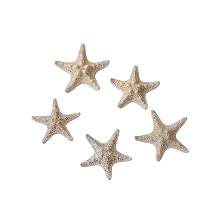 Pesciolini colorati, da 7,5 a 10 cm ciascuno