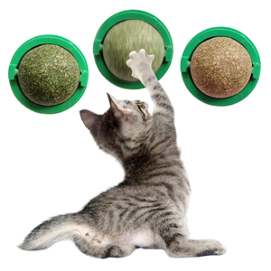 New Design Rotarable <strong>Catnip</strong> Interactive Toys for <strong>Cat</strong> - Product Image 1