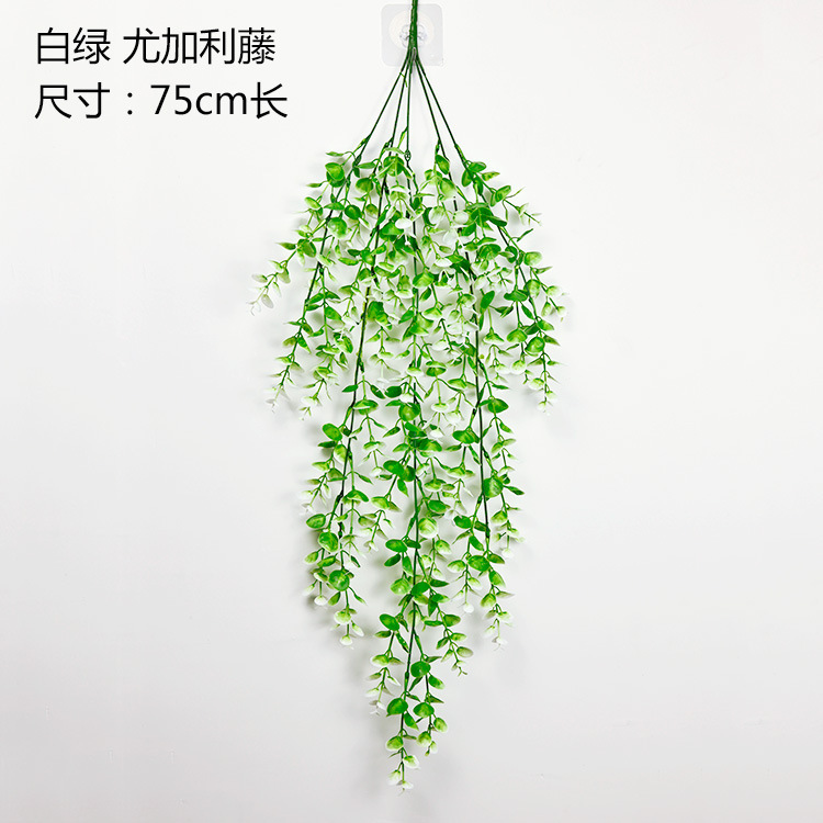 Blanc et vert (vigne d'eucalyptus à 5 fourches)