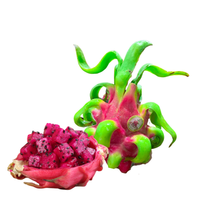 Fresh Red Dragon Fruit Top Sale Attractive Colors Using for Food Packing in Carton Made in Vietnam Farm - Product Image 5
