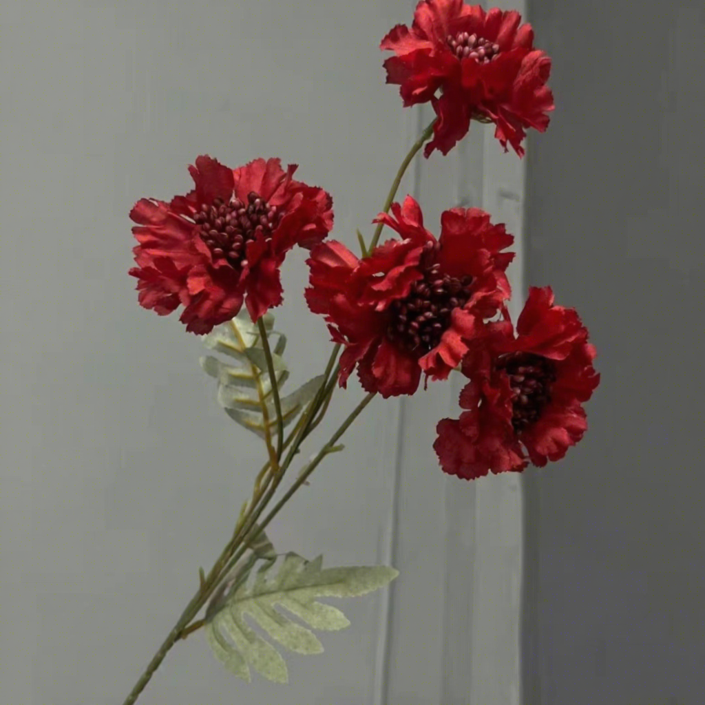 4# Fiore di pizzo
