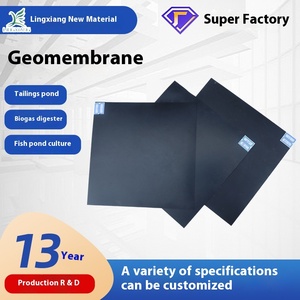 Fishpond eğim koruması için HDPE polietilen geomembran sulak ve yapay göl depolama Anti-sızıntı membran inşa - Product Image 2